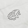 sea shell