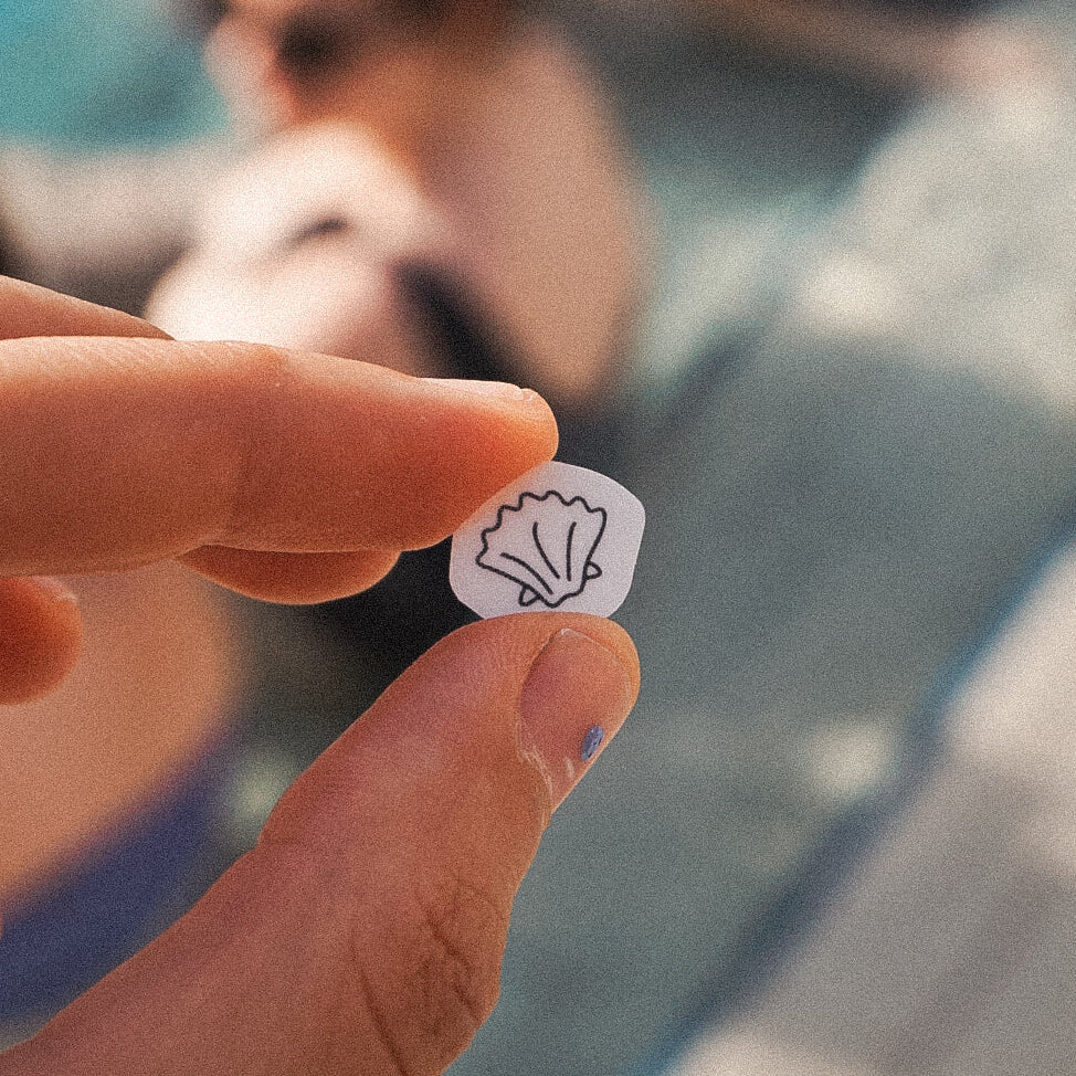mini shell