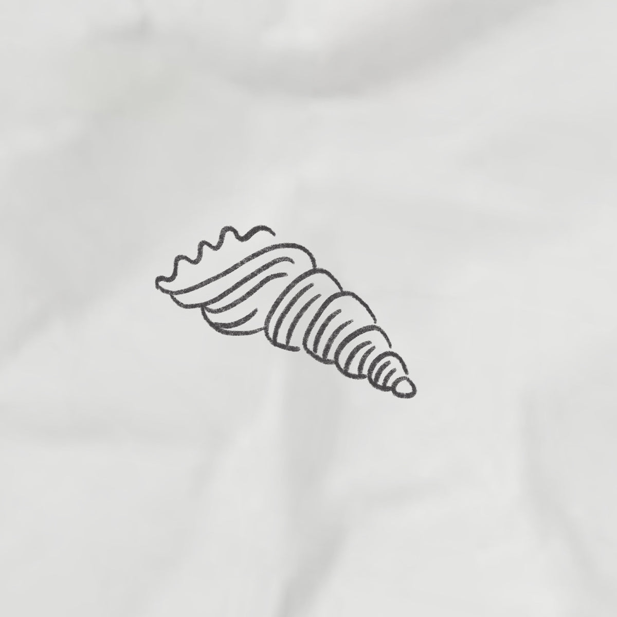 long sea shell